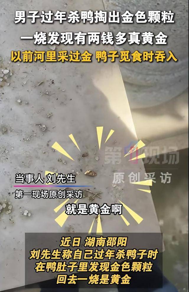 湖南一男子杀鸭从肚中剖出多颗金色颗粒<strong></p>
<p>失压断流计时仪报价</strong>，灼烧鉴定为黄金:失压断流计时仪报价